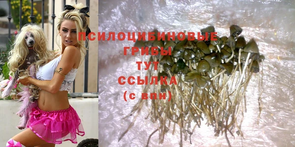 спайс Магас