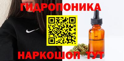 гидра Аргун