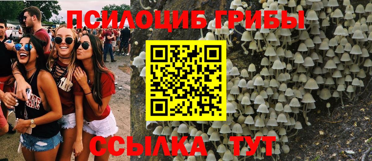 Псилоцибиновые грибы GOLDEN TEACHER Астрахань